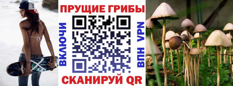 Псилоцибиновые грибы GOLDEN TEACHER  сколько стоит  Азнакаево 